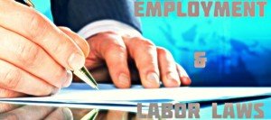 Employment Labor Laws