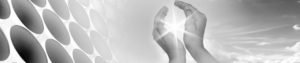 Guardian Certificate Lawyer